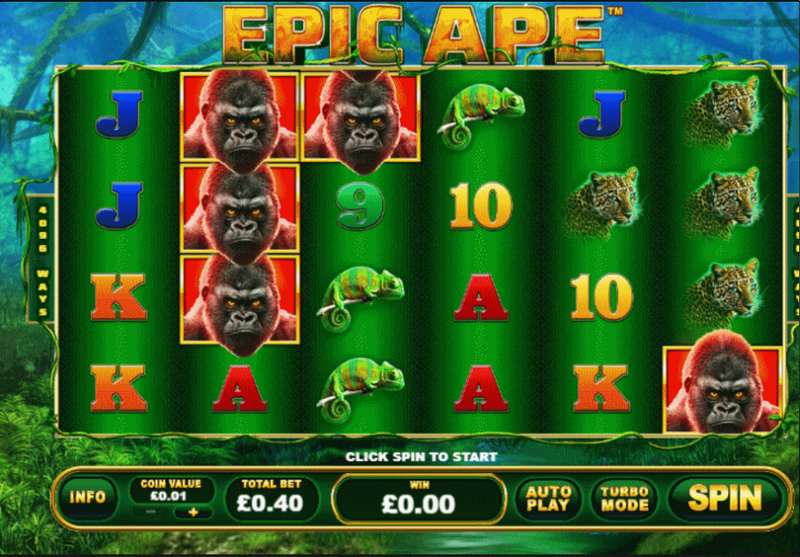 epic ape